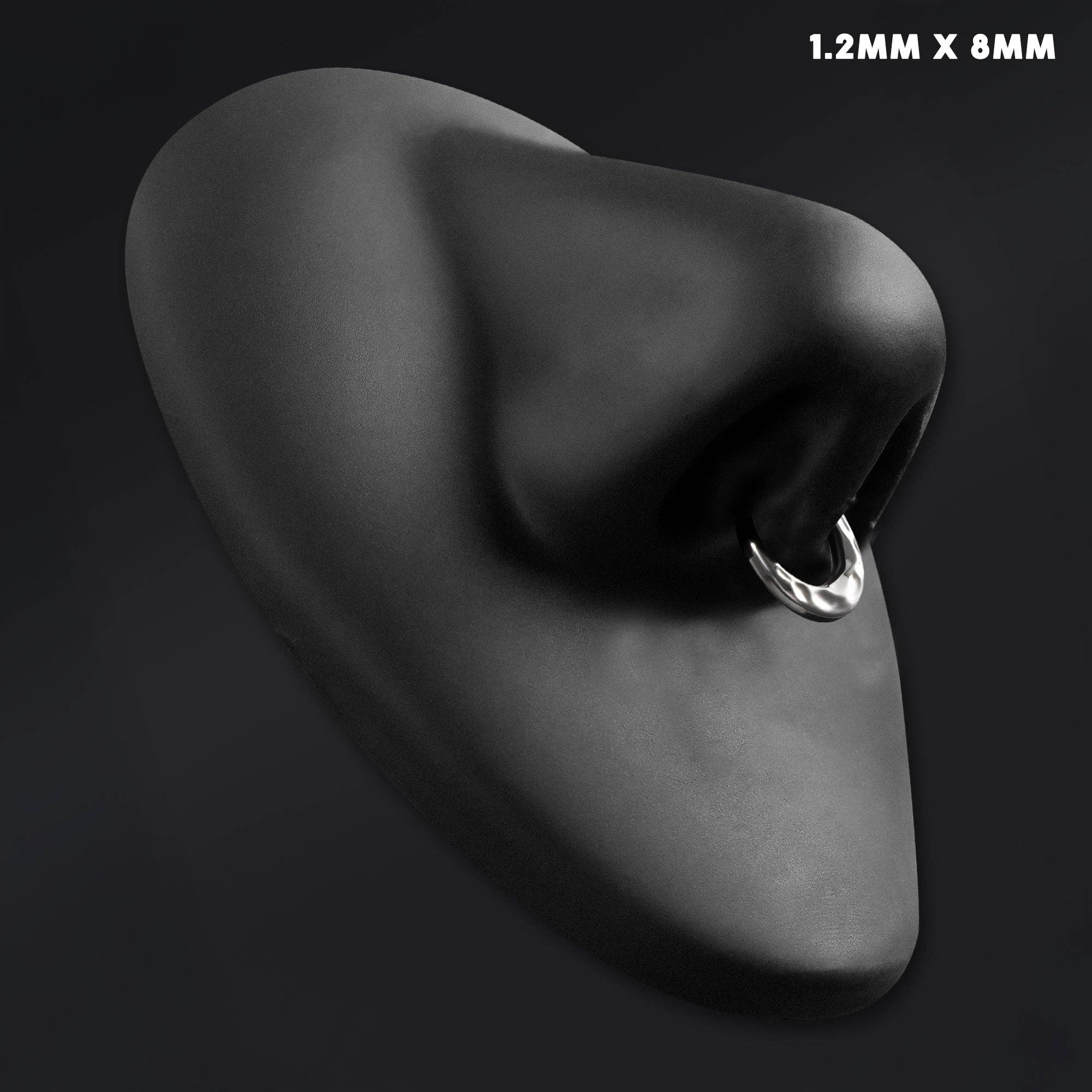 Custom Plugs – wholesale Nose ring – Silver Hammered Dome ASTM F136 Titanium Segment Clicker Septum Nose Ring2