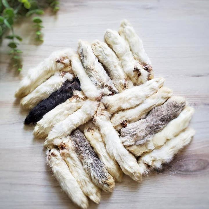 Naked Beasts, Inc. - Wholesale Pet Treats - Dog - Rabbit Feet1