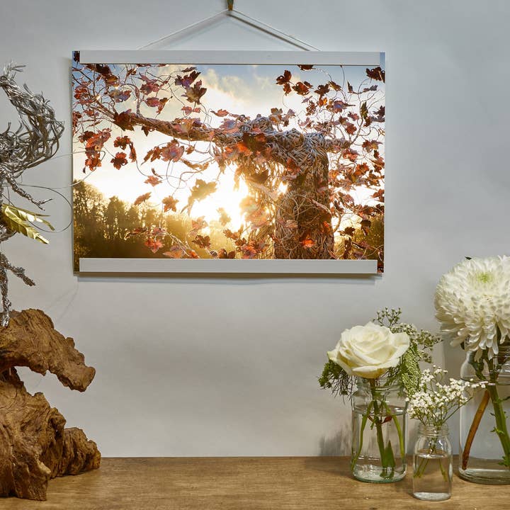 Impressão fotográfica de 'Beyond Ithaka 4' por atacado de Fantasywire