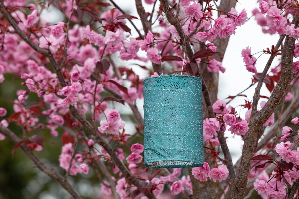 Allsop Home & Garden - Wholesale Outdoor/Lawn Light - Stella Cylinder 7.5" Solar Lantern - Metallic Emerald