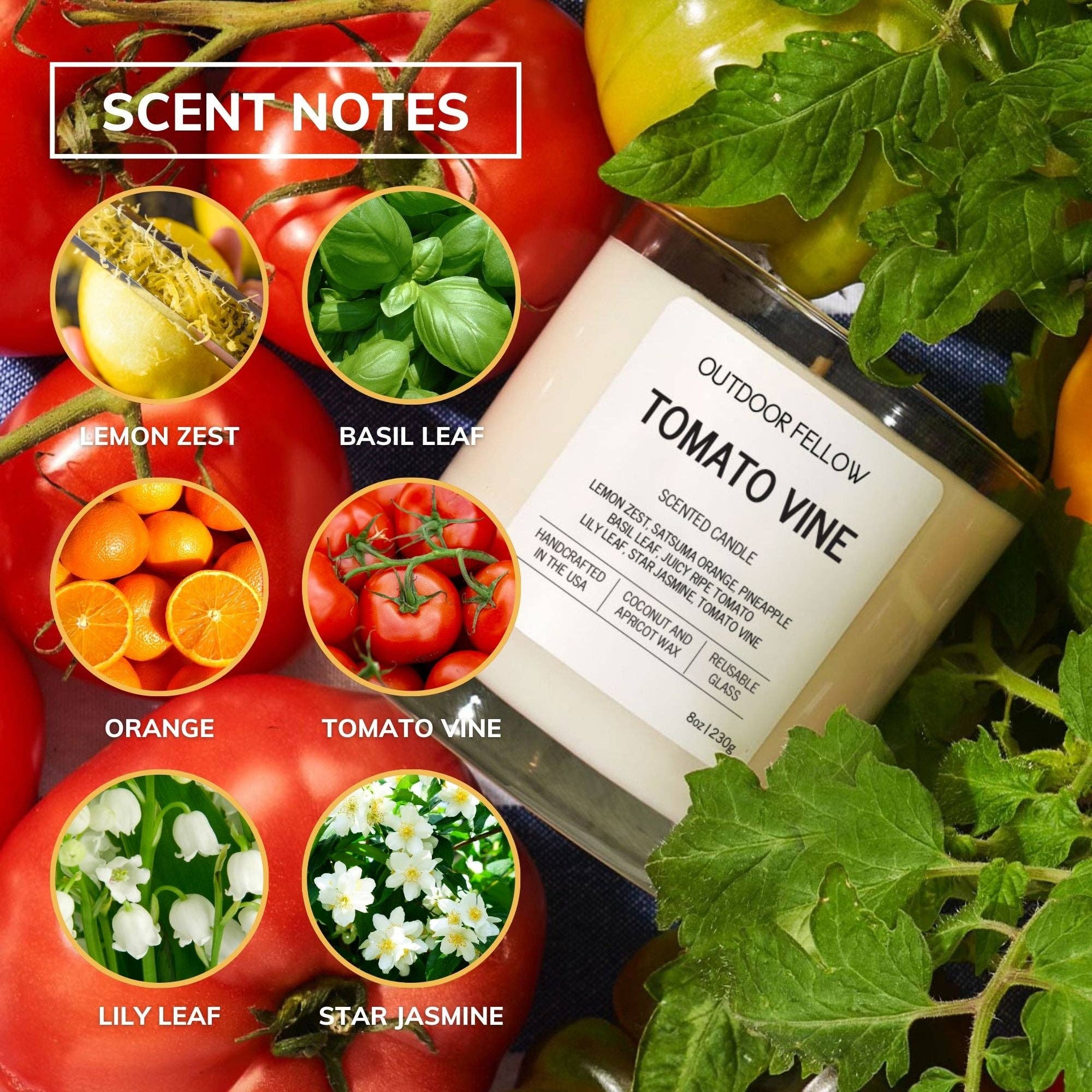 Outdoor Fellow - Wholesale Jar/Filled Candle - Tomato Vine Scented Candle2