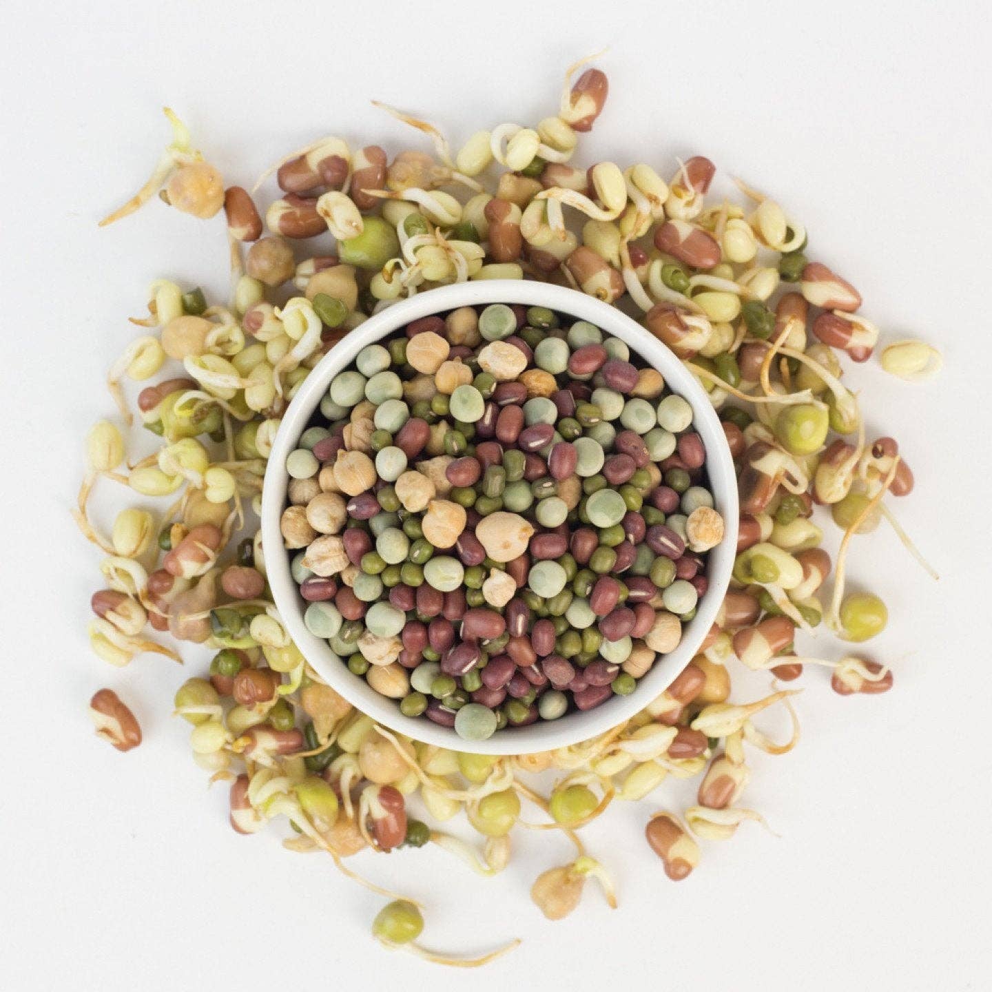 Cultures for Health - Wholesale Plant Seeds - Vegan Protein Sprouting Seed Blend1