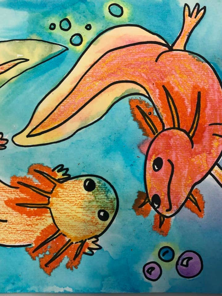 Axolotl Friends L2 for wholesale by Guide Dots