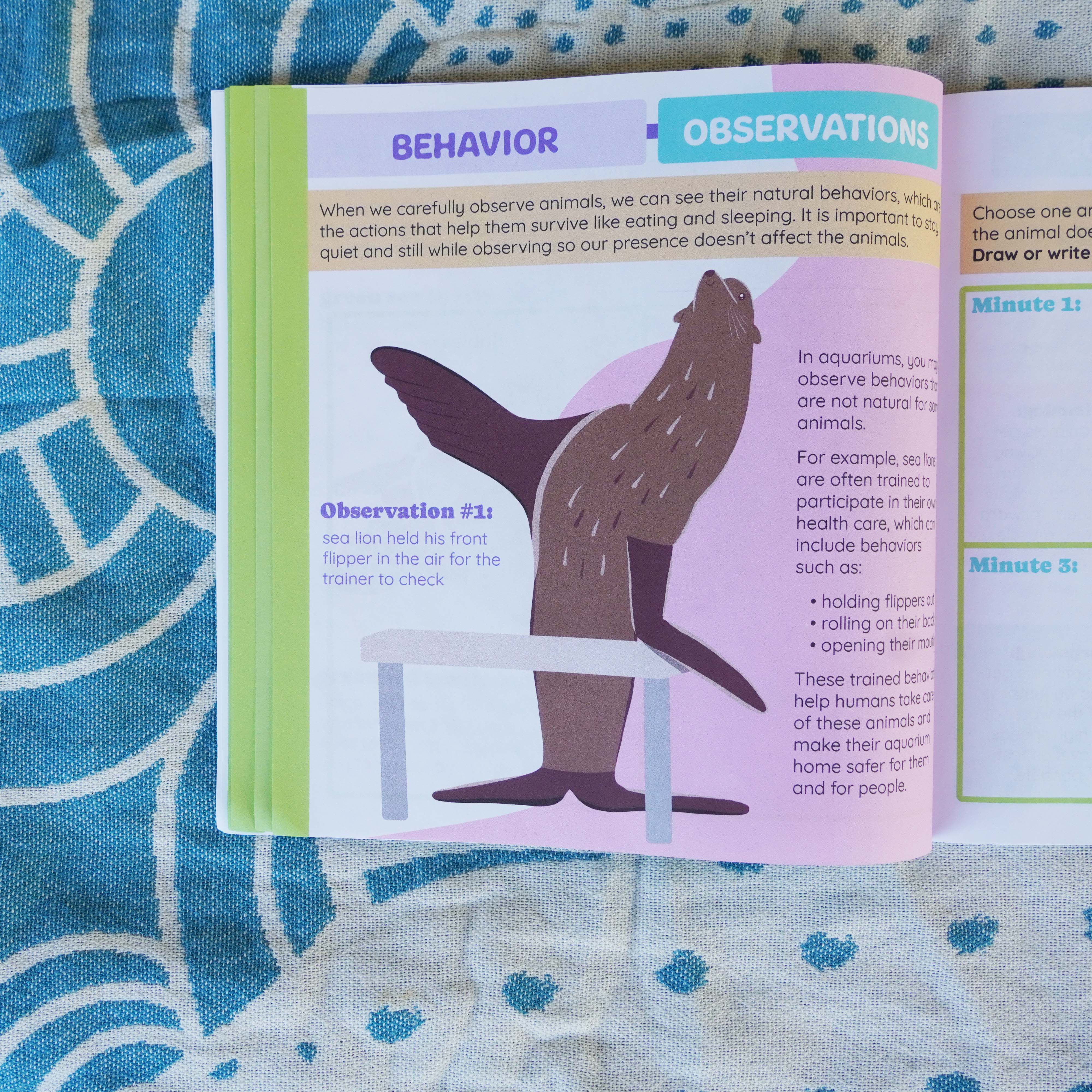 Environerd - Wholesale Nature & Outdoors - Aquarium Nature Journal7