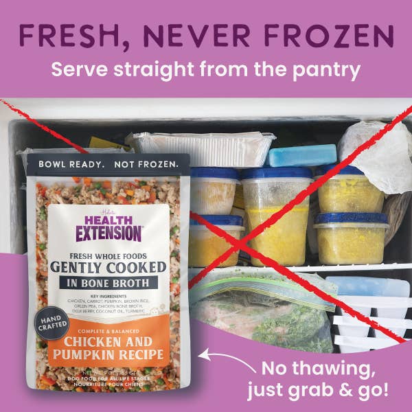 Health Extension Pet Care - Wholesale Pet Food - Dog - Gently Cooked Chicken And Pumpkin Recipe9