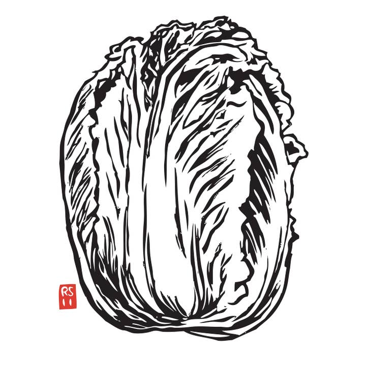 RFM-527 Napa Kål Konsttryck för wholesale av Rigel Paper