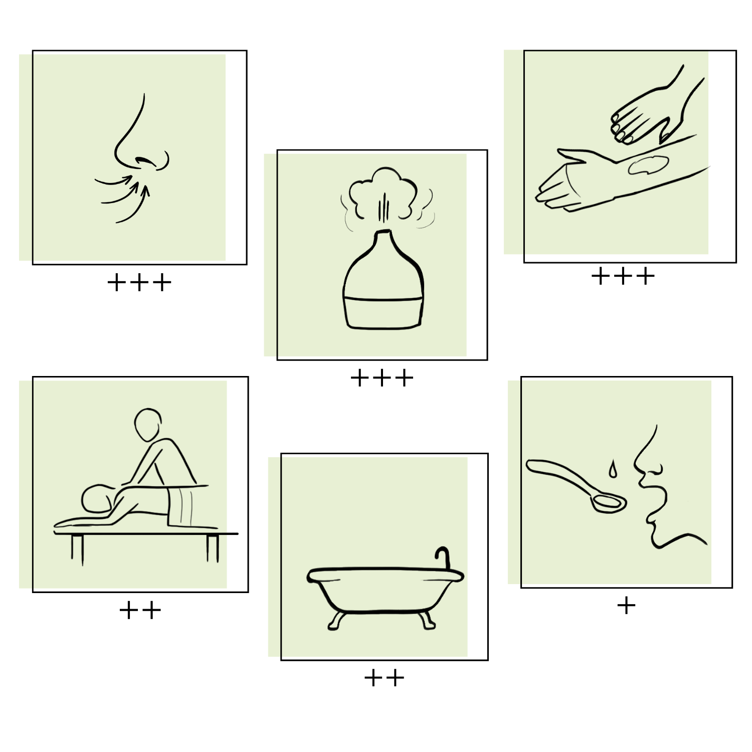 Essences Naturelles Corses - Vendita all'ingrosso Olio essenziale - Olio essenziale biologico di Ravintsara - Aromaterapia - 10 ml2