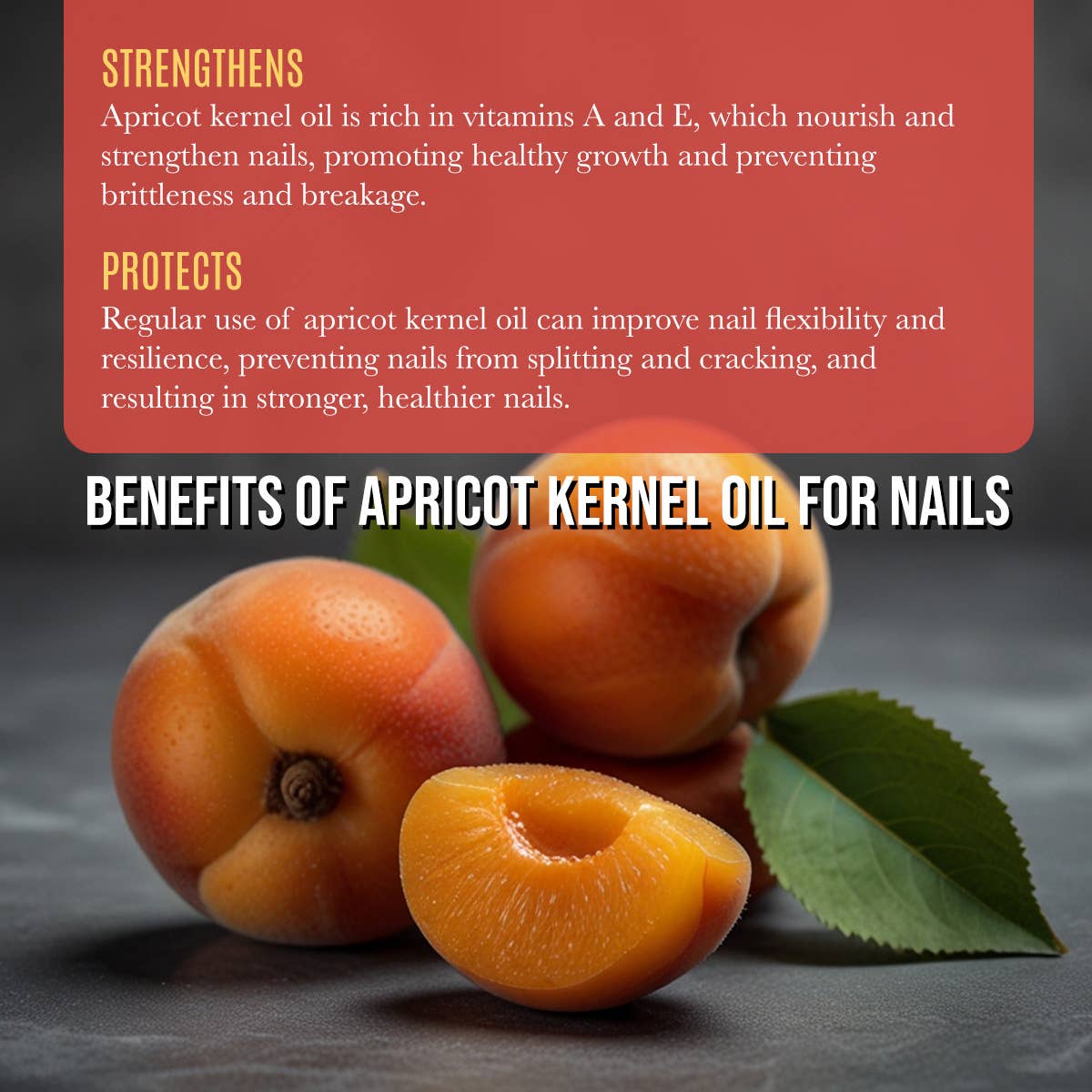 Renewalize – Engroshandel Massageolie til gravide – Økologisk abrikoskernemassageolie og hudfugtighedscreme 4oz3