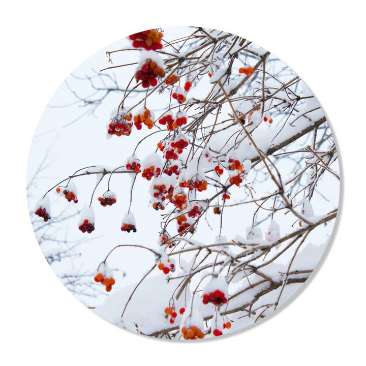 Círculo Parede Bes por atacado de GM decoratie