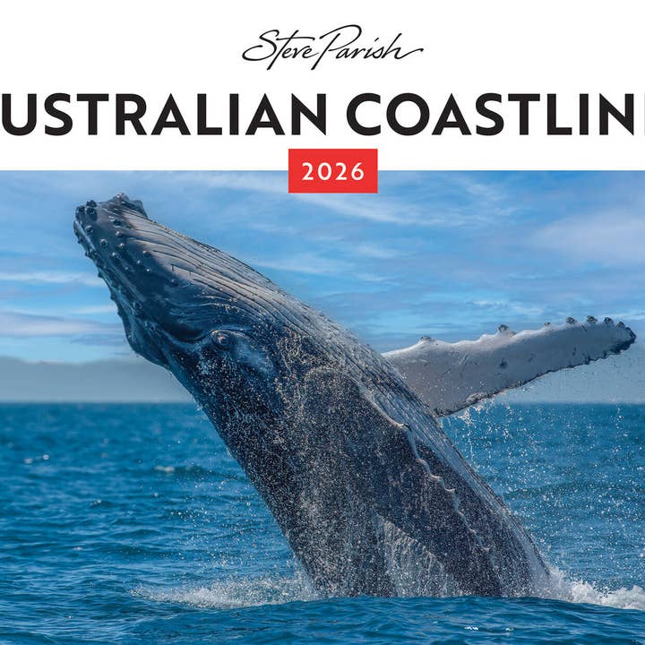 Australian Coastlines 2026 Landscape Wall Calendar X 50 for wholesale by BrownTrout Publishers