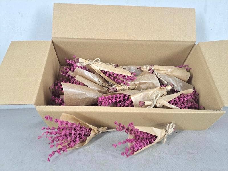 Dutch Flower Studio - Vente Fleur séchée/pressée - Lavande préservée - Mini bouquet de fleurs séchées3