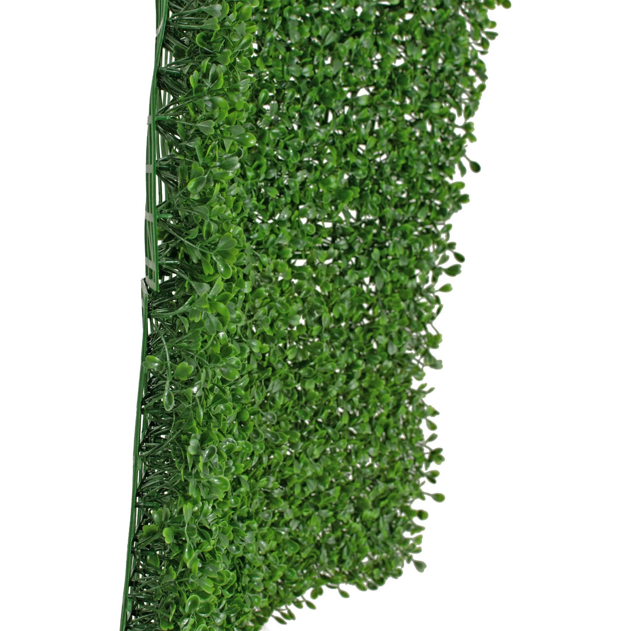 Lee Display - Wholesale Artificial Plant - Boxwood Topiary Wall Panels 8 SQFT6
