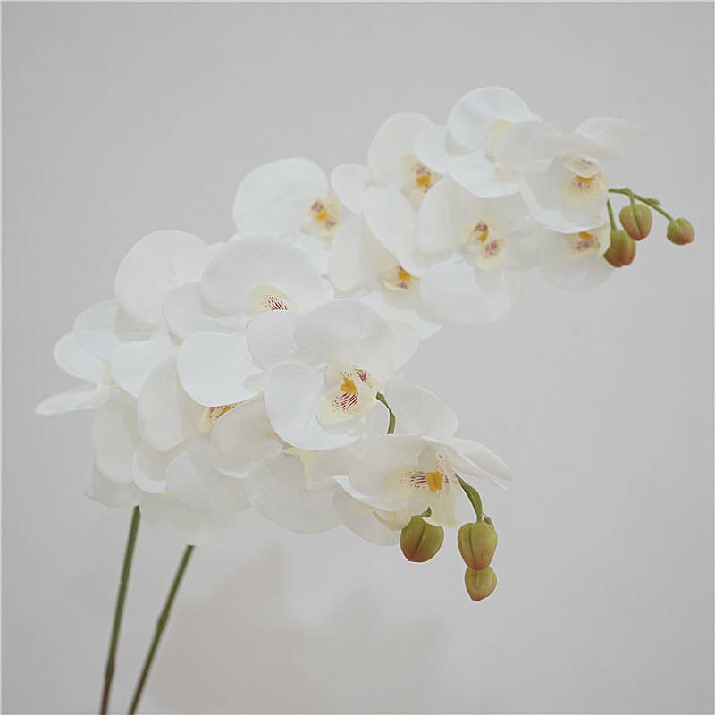 Sweet Home Deco - Wholesale Artificial flowers - 42''T Nature Soft Touch White Faux Orchid, Wedding Orchids  0
