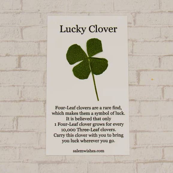 Four Leaf Clover, St Patrick's Day, Lucky Irish Gift for wholesale by Salem Wishes
