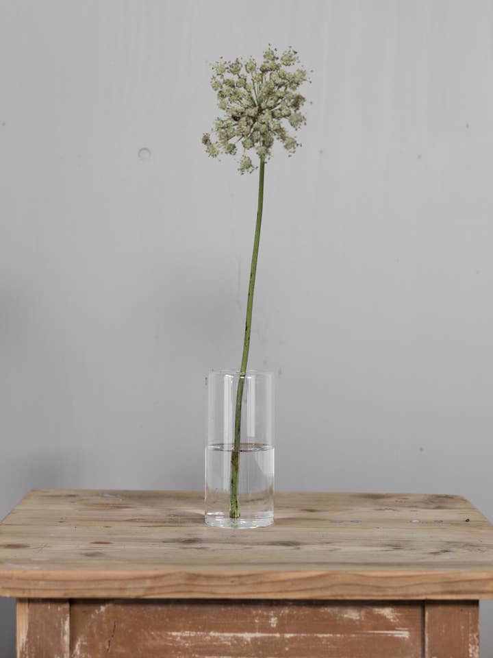 Tenvik Medium Glass Vase for wholesale by STOREFACTORY