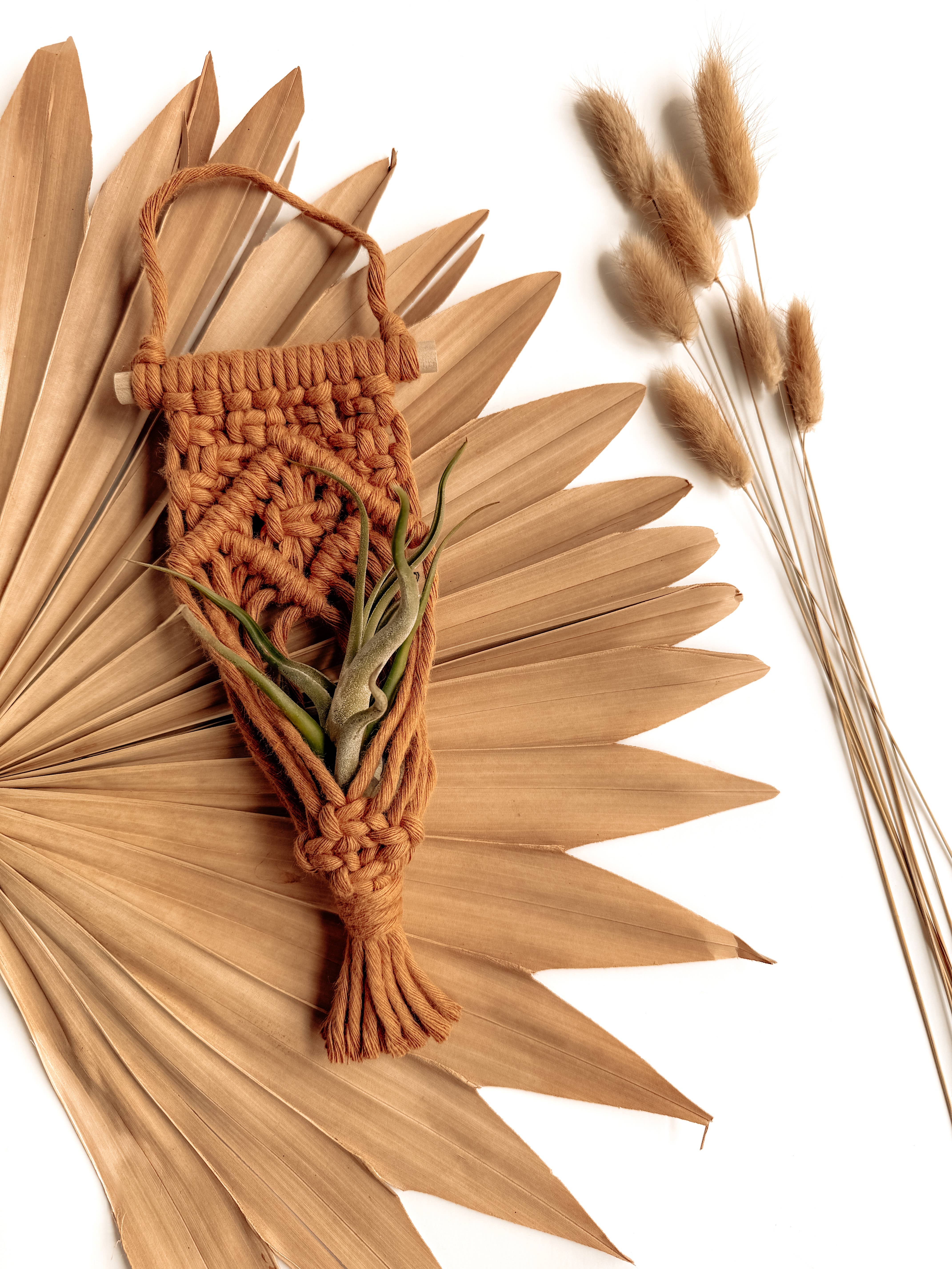 Meraki The Studio Co. - Wholesale Hanging Planter - Air Plant Hanger | Macrame Planter Holder | Boho Home Decor4