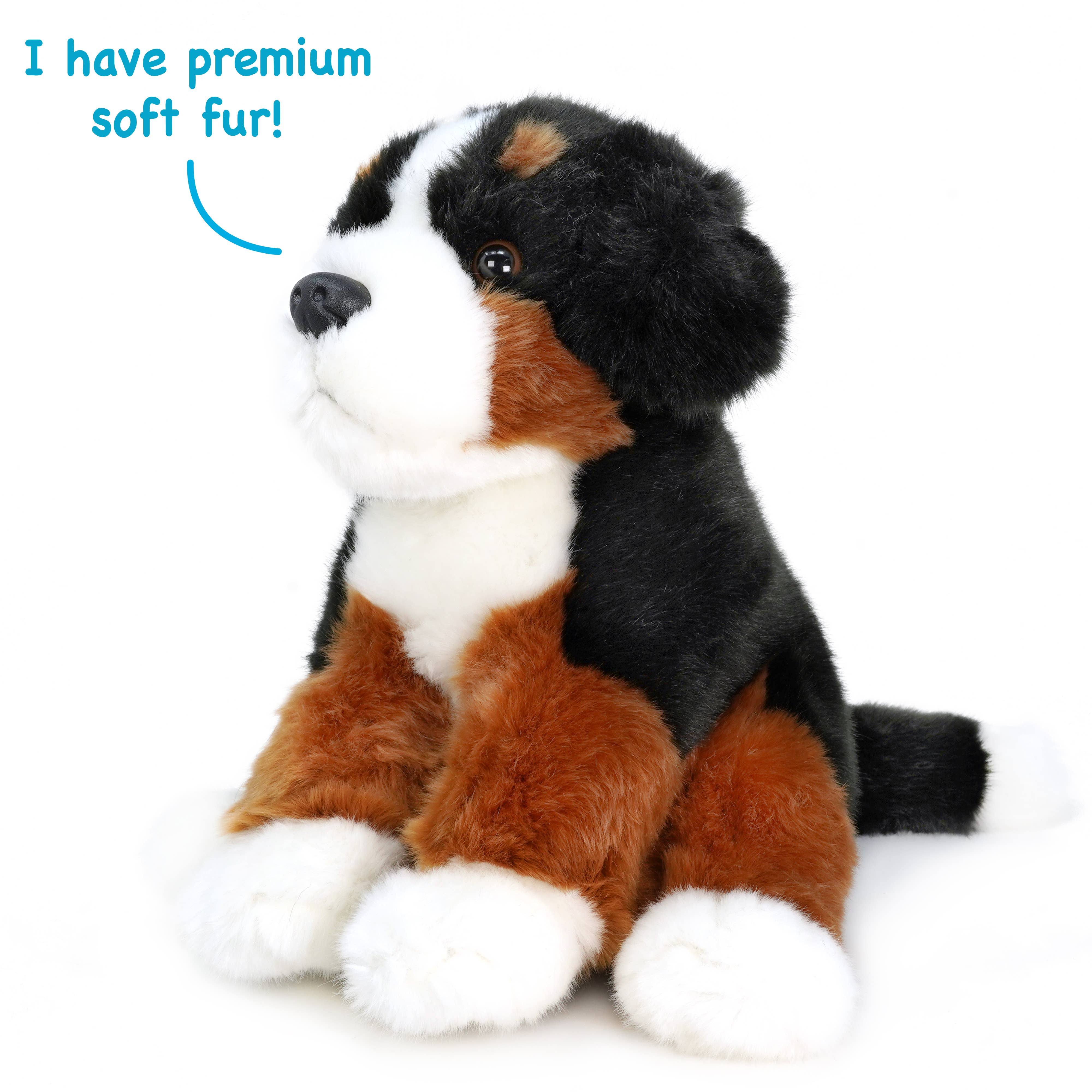 VIAHART Toy Co. - Wholesale Stuffed/Plush Toy - Kids & Baby - Bastien The Bernese Mountain Dog | 12.5 Inch Plush3