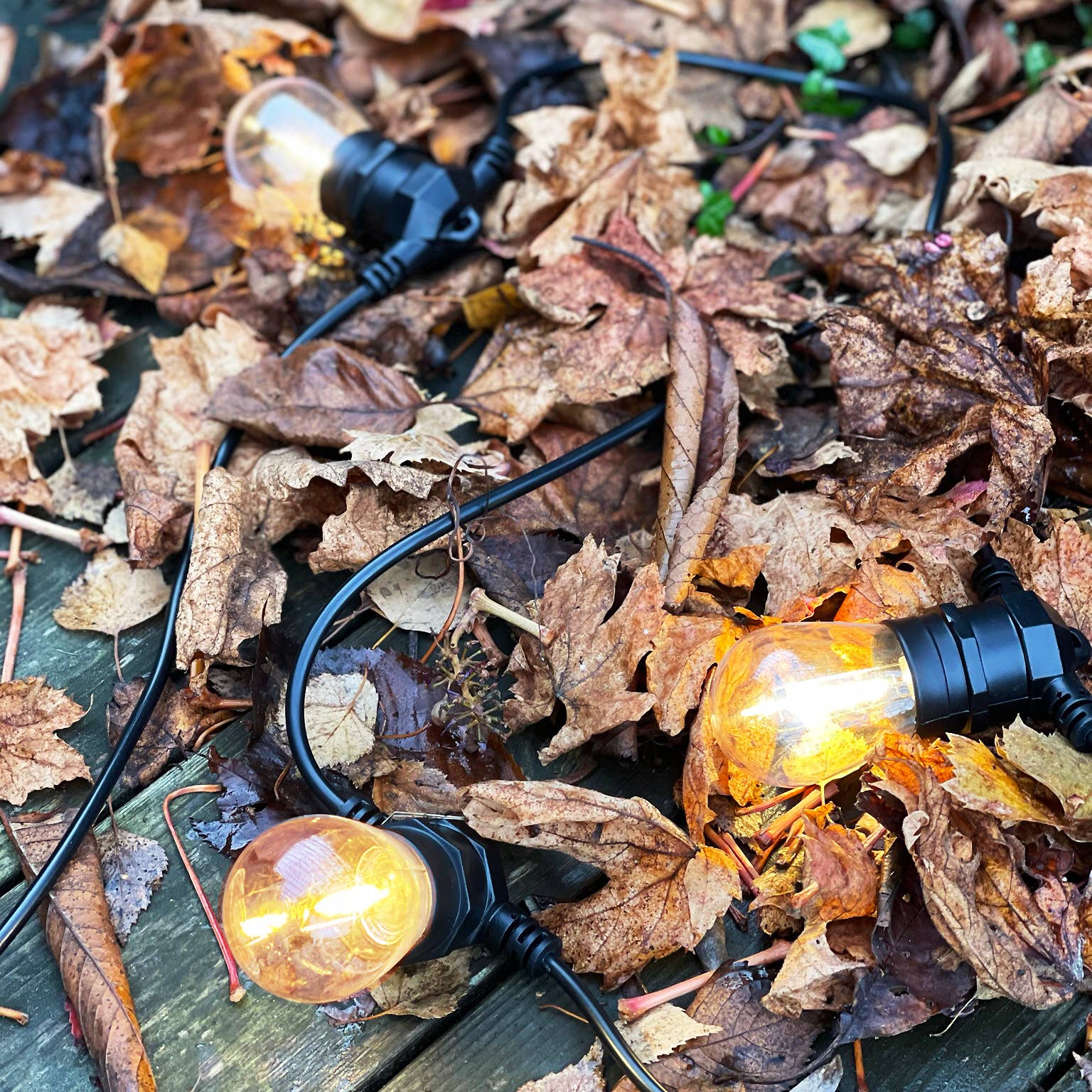 LightsOn - Wholesale Outdoor/Lawn Light - Deco bulb x 5, E27 12V (warm white)7