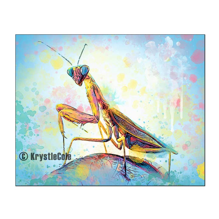 Krystle Cole Fine Art - Wholesale Art Print - Praying Mantis Art Print by Krystle Cole - HAND SIGNED