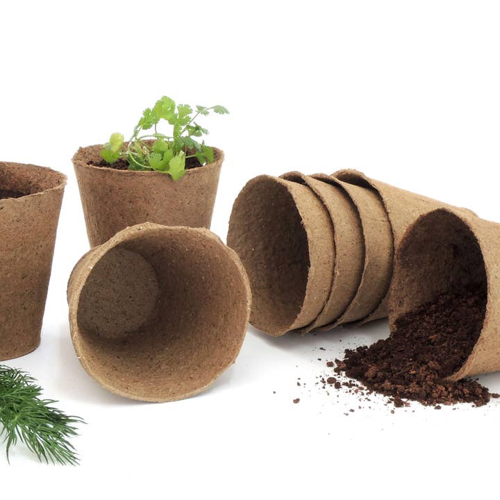 Daniel's Plants - Wholesale Plant Pot - 4" Naked Pots | Plantable Seed Starter Pots - Organic & Biodegradable