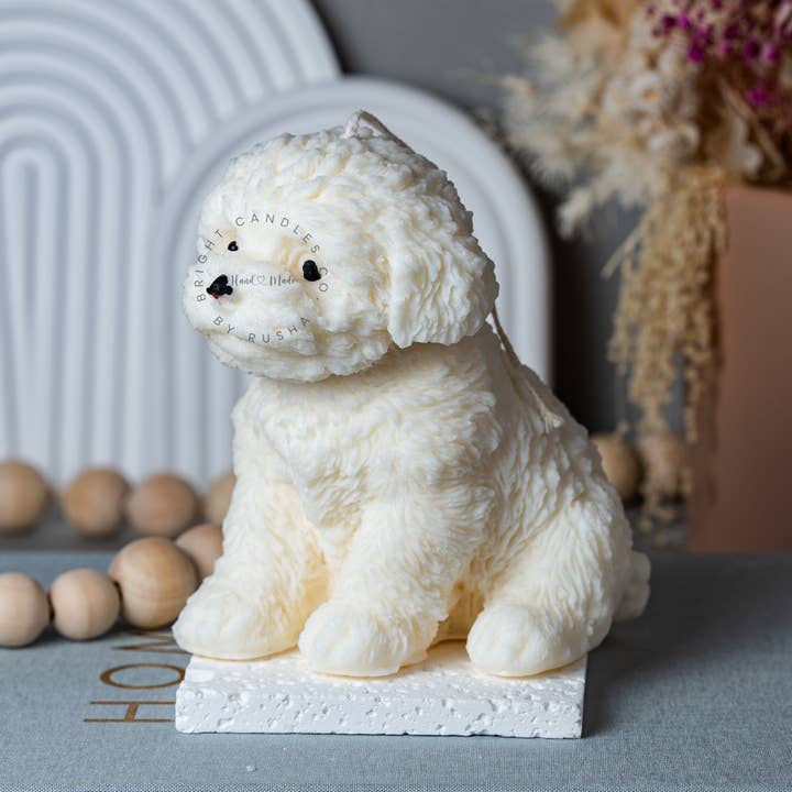 Bright Candles Co. - Wholesale Novelty candle - Alvin1