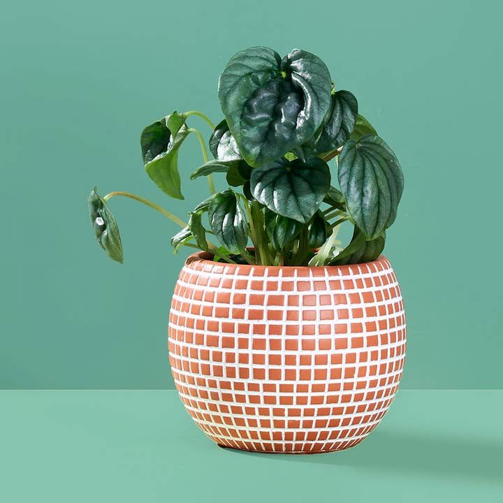 Medium Disco Ball Ceramic Planter - Terracotta for wholesale by Paloverde Botanicals