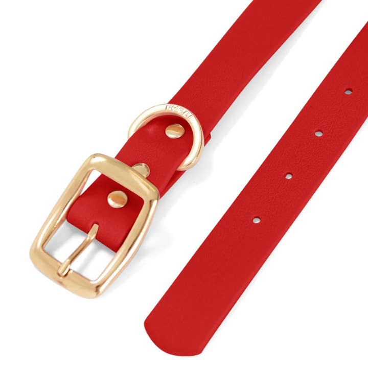 Furei Pets - Wholesale Pet Collar - Dog - Collar1