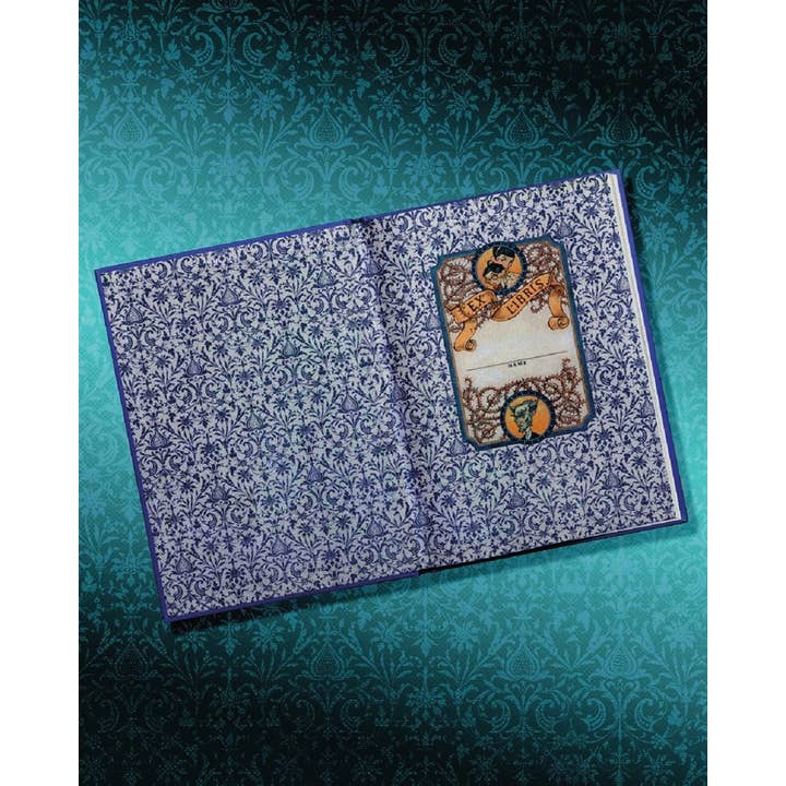 HarperCollins - Wholesale Middle Grade Book (9-12) - A Series of Unfortunate Events #1: The Bad Beginning Deluxe1