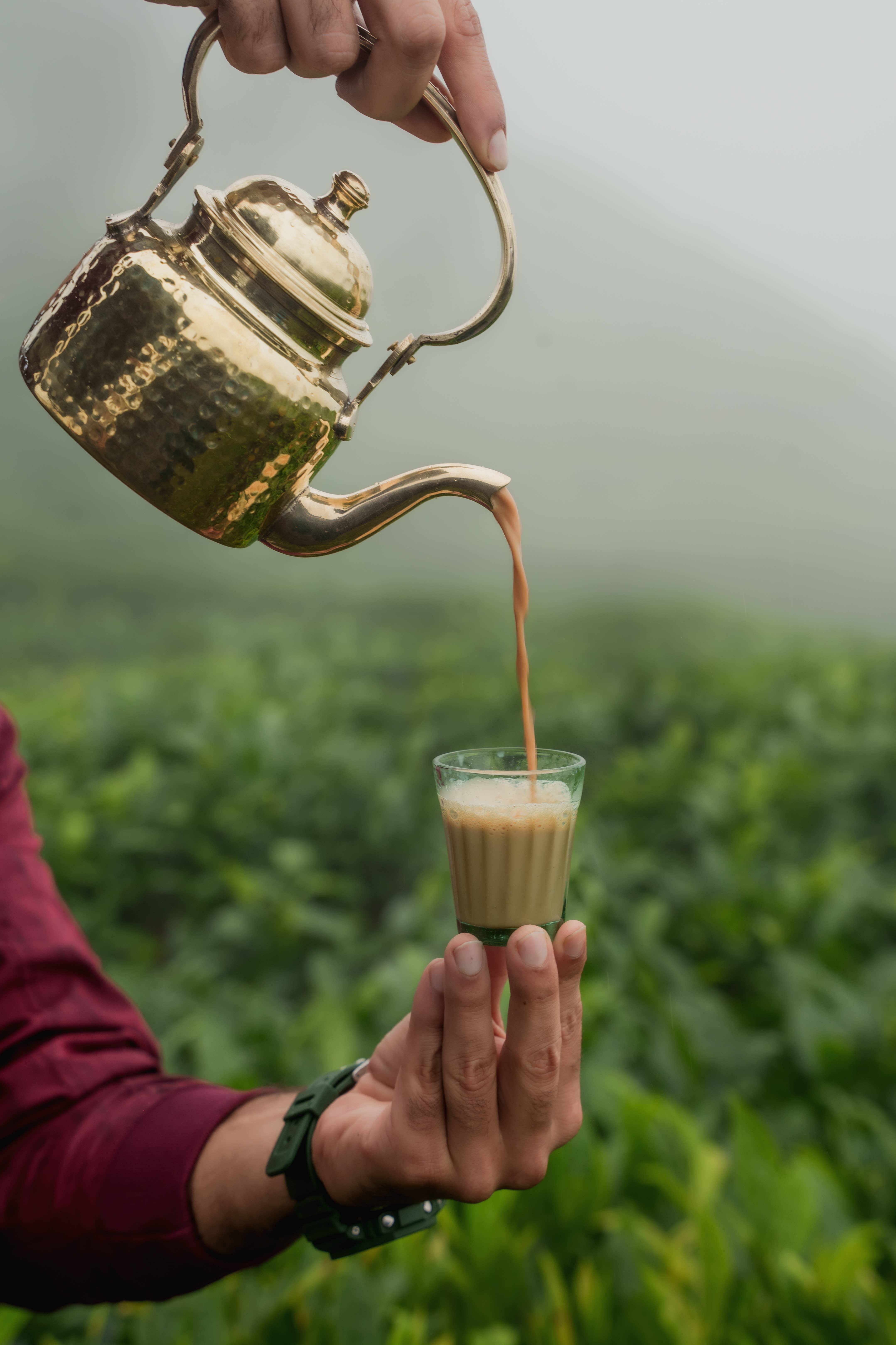 Wild Chai - Wholesale Loose Tea - Monsoon Hills - Indian Masala Chai | featured in Vogue & GQ6