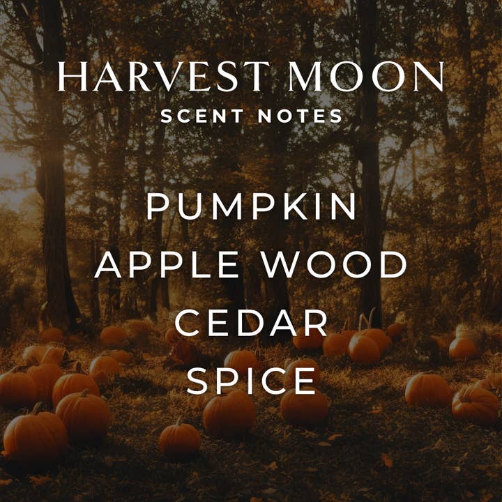 FJORD & FABLE - Vente Bougie en bocal - Bougie Moisson1