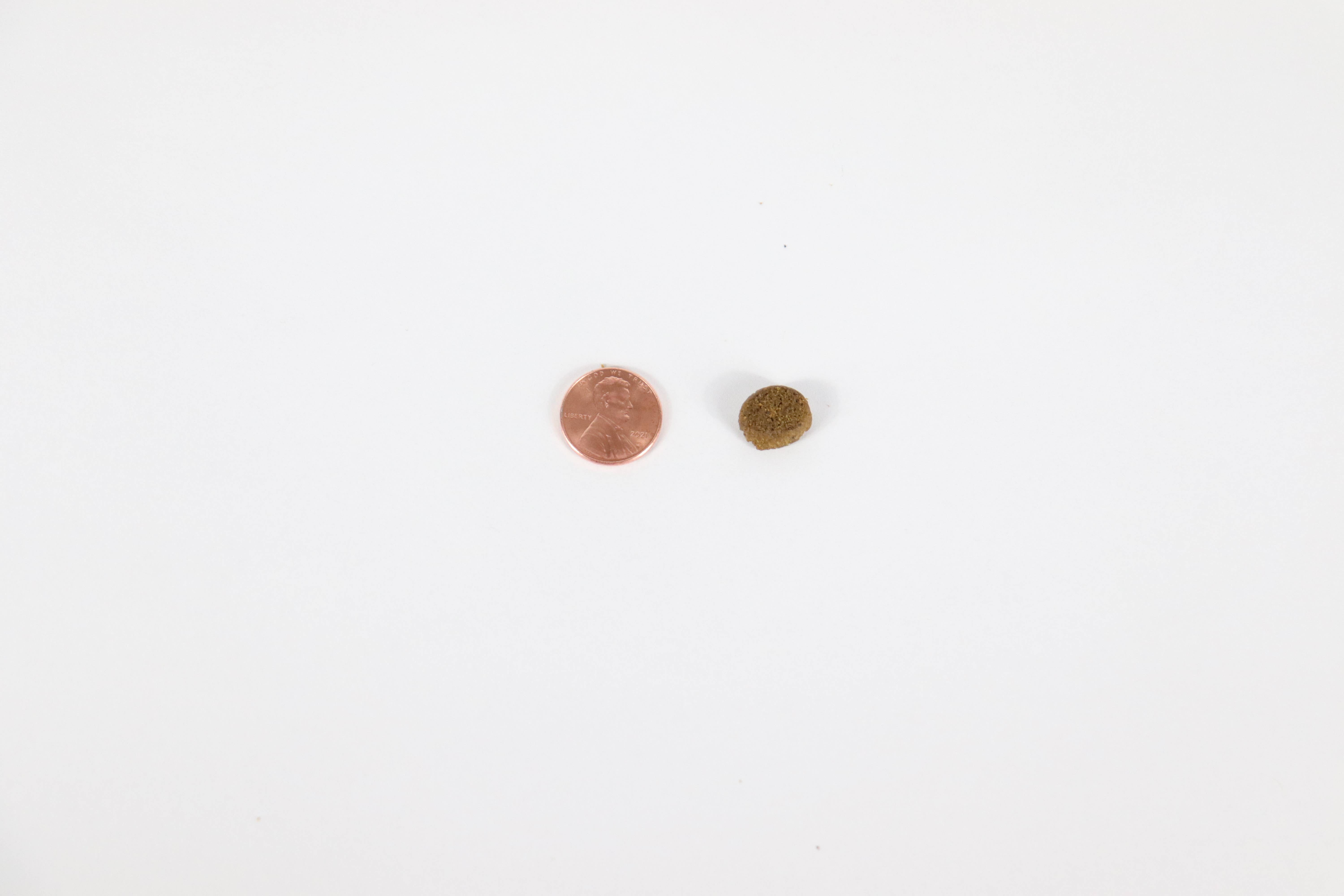 Canine Caviar - Wholesale Pet Food - Dog - Wild Ocean Limited Ingredient Alkaline® Entrée All Life 22lb4