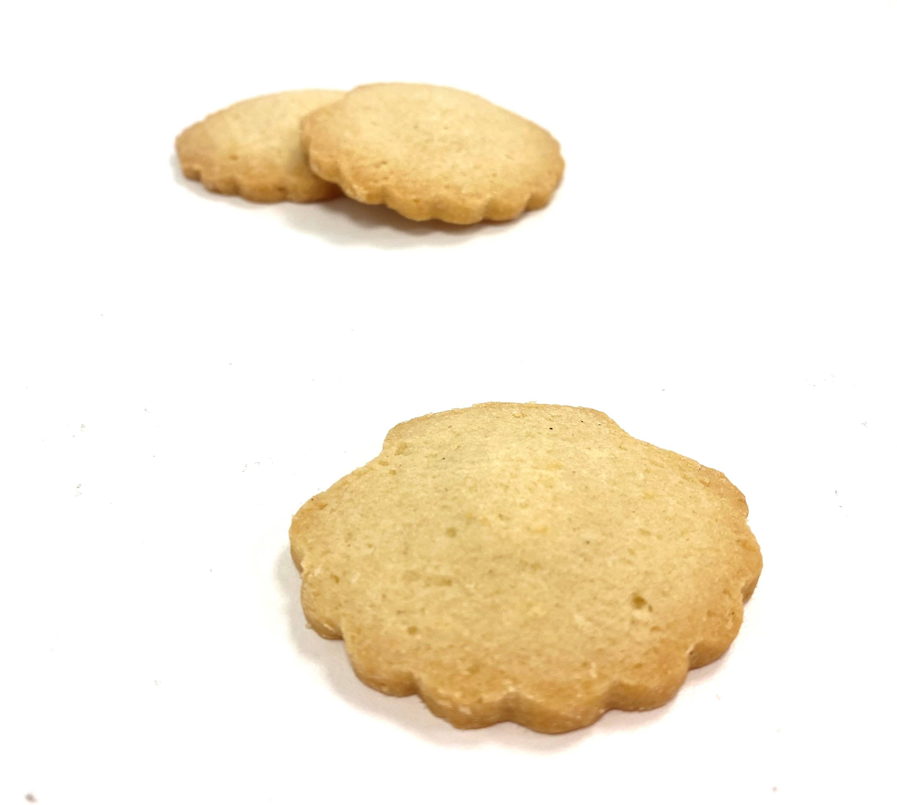 ANTONIO ANAUT - Wholesale Cookie - Shells of the Way3