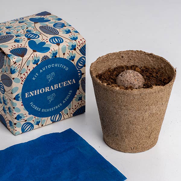 Resetea - Wholesale Plant Seeds - Say it with flowers "Congratulations" 💐1