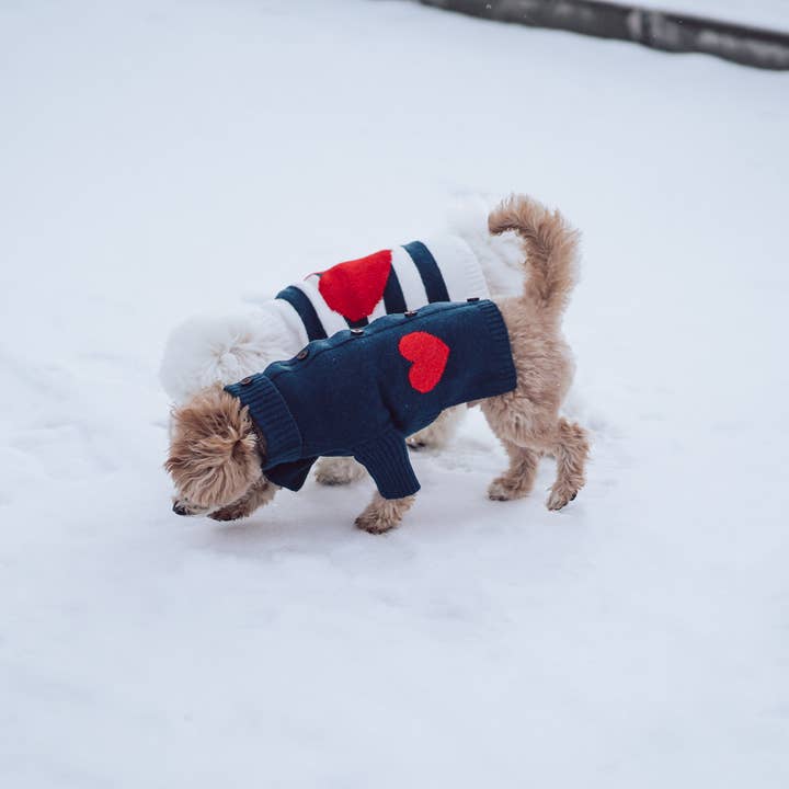 BarkBarkBaby - Vendita all'ingrosso Maglione - Cani - Cardigan con bottoni Heart to Heart7