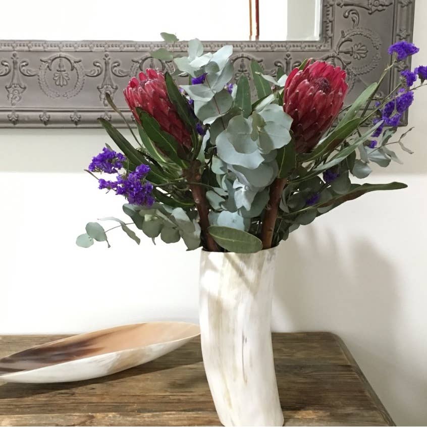 The African Home Goods - Wholesale Vase - ANKOLE COW HORN VASE OR PLANTER  - LIGHT4