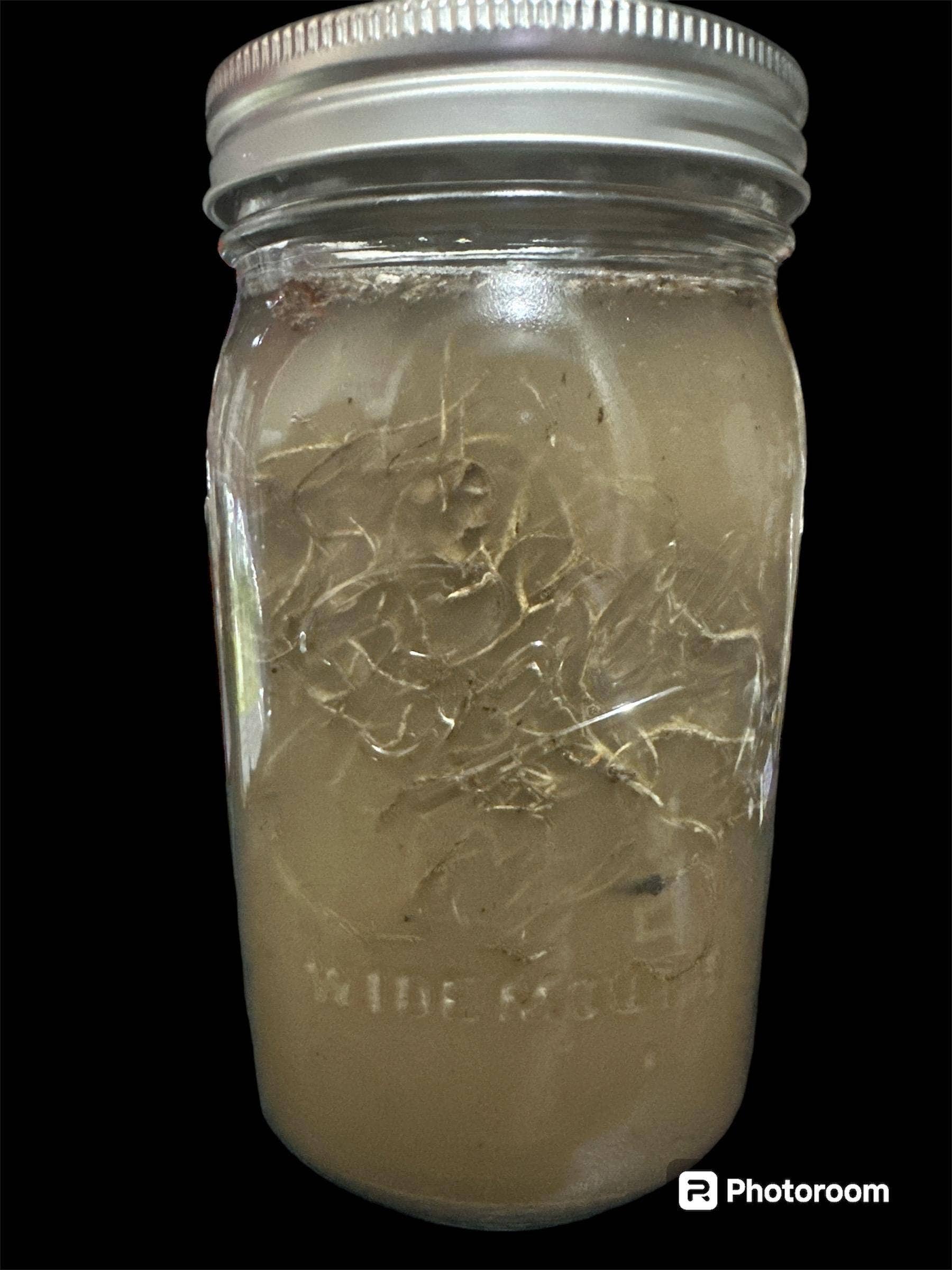 Readings by Judie Team - Wholesale Meditation Supplies - Powerful War Water Curse Jar for Hexing Enemies1