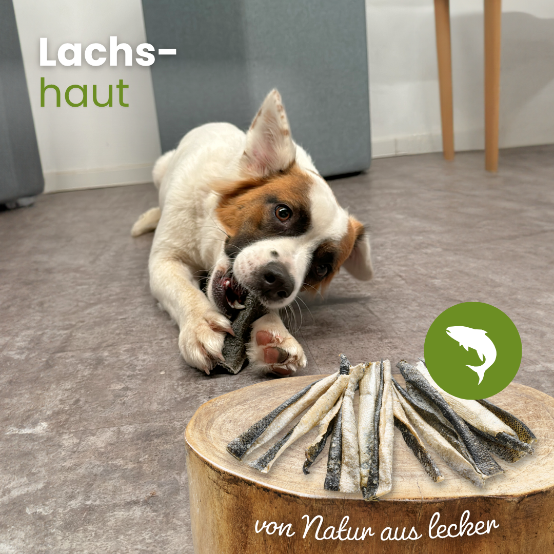 Kauartikel.com GmbH – wholesale Godis - Hund – Laxskinn naturligt tuggben för hundar1