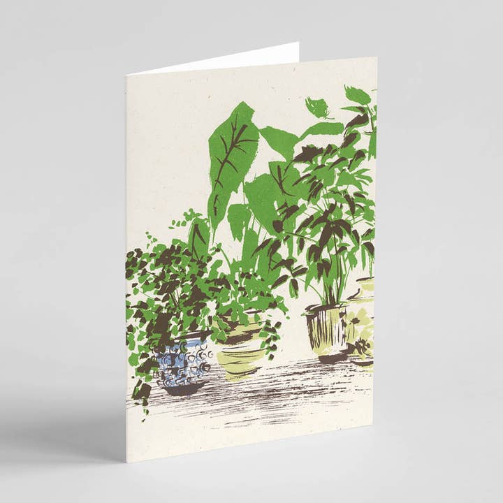Vasos e plantas por atacado de Ben Rogers