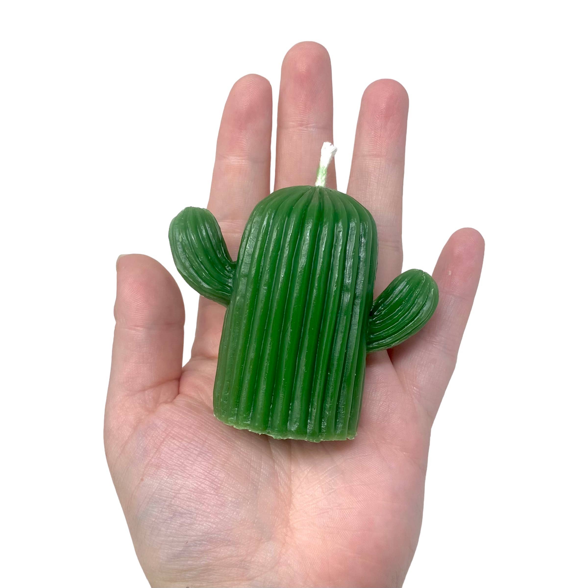 Freedom Rocks – wholesale Prydnadsljus – Cactus Naturligt bivax ljus2