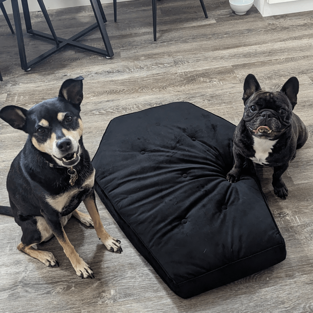 Goth Cloth Co. – wholesale Pet bed – Cat/dog – Critter Coffin - Coffin Shaped Memory Foam Pet Bed for Dogs & Cats10