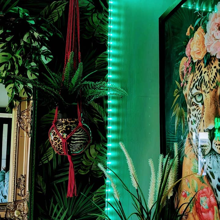 Bright Plant Hangers for wholesale by AJ Handmade