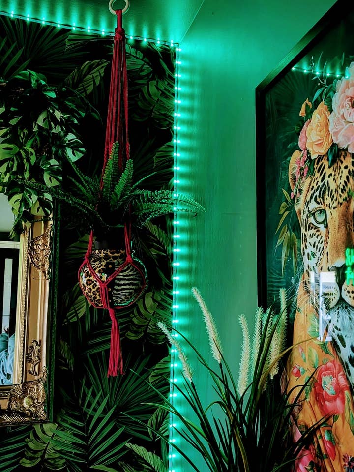 Bright Plant Hangers for wholesale by AJ Handmade