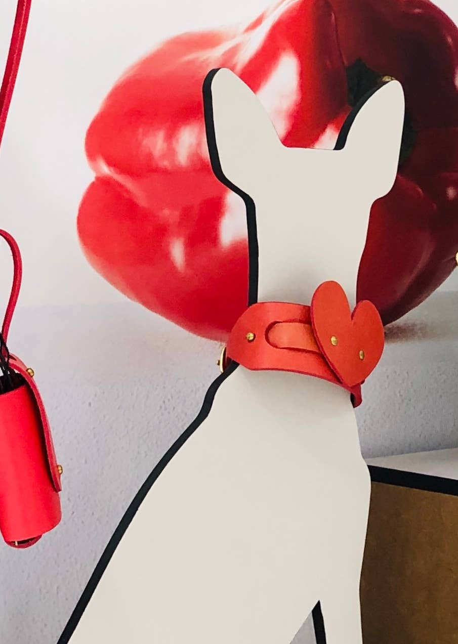 INDÓMITO - Wholesale Retailer Display - Pets - Small dog display0