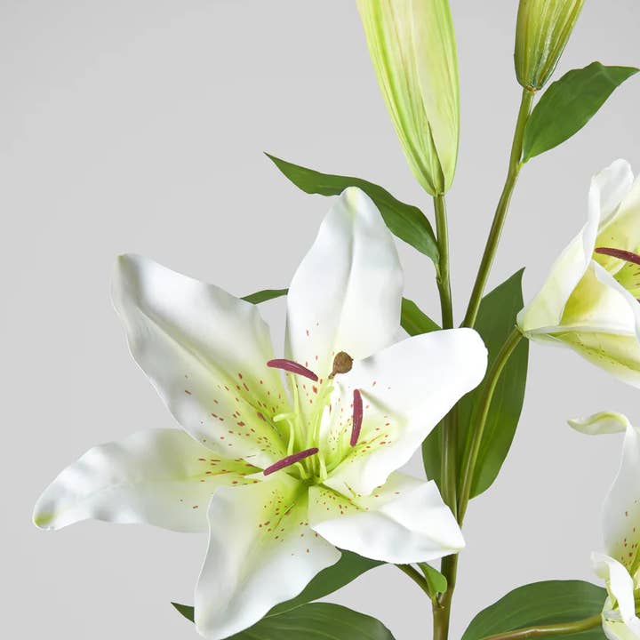 Jamali Garden - Wholesale Artificial Flowers - 35in Long Cream Asiatic Lily Spray0