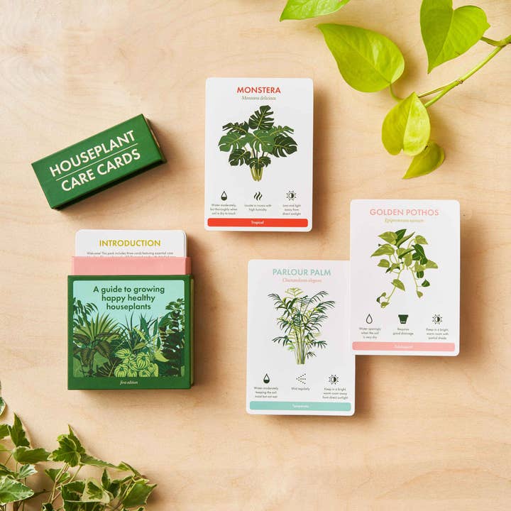 Another Studio - Wholesale Nature Guide - Houseplant Care Cards, botanical plant tips, care & advice