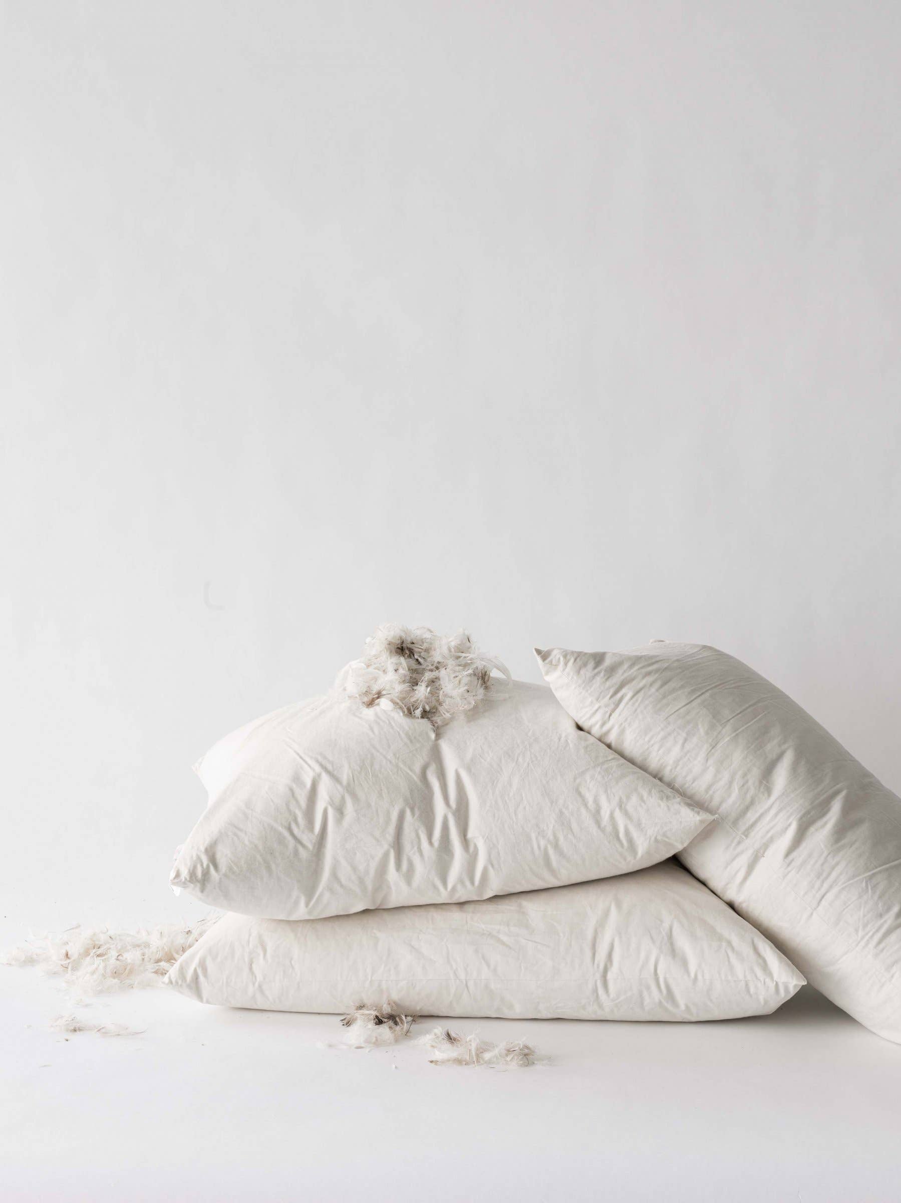 Tell Me More - Wholesale Throw/decorative pillow - Inner pillow 60x60 1100 grams3