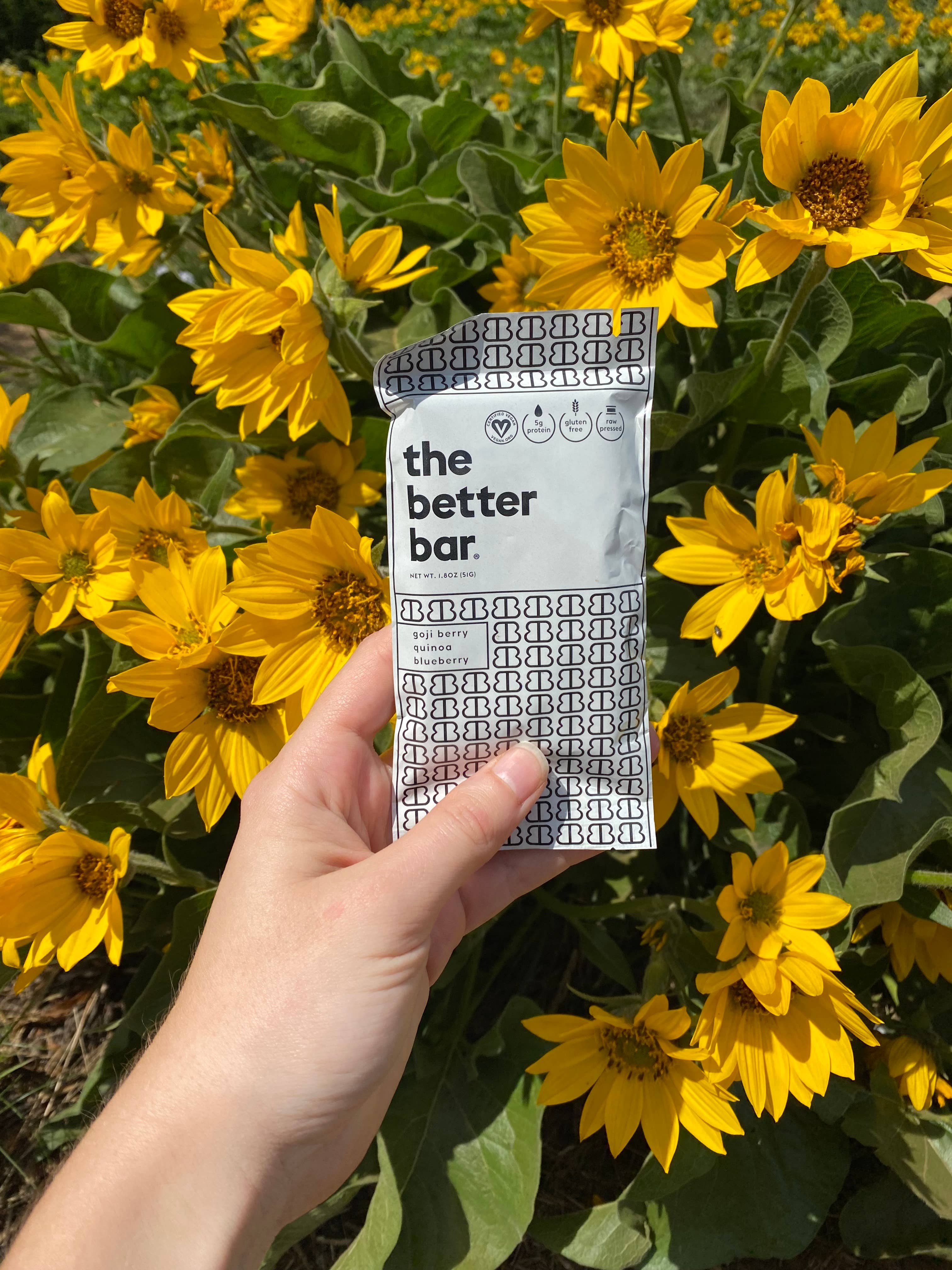 The Better Bar - Wholesale Snack Bar - The OG Goji Better Bar10