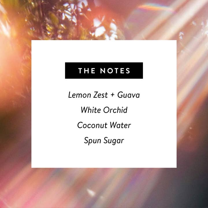 West Clay Company - Wholesale Perfume/eau de toilette - Solstice 🪞 Perfume - Nontoxic Eau De Parfum 1.7oz1