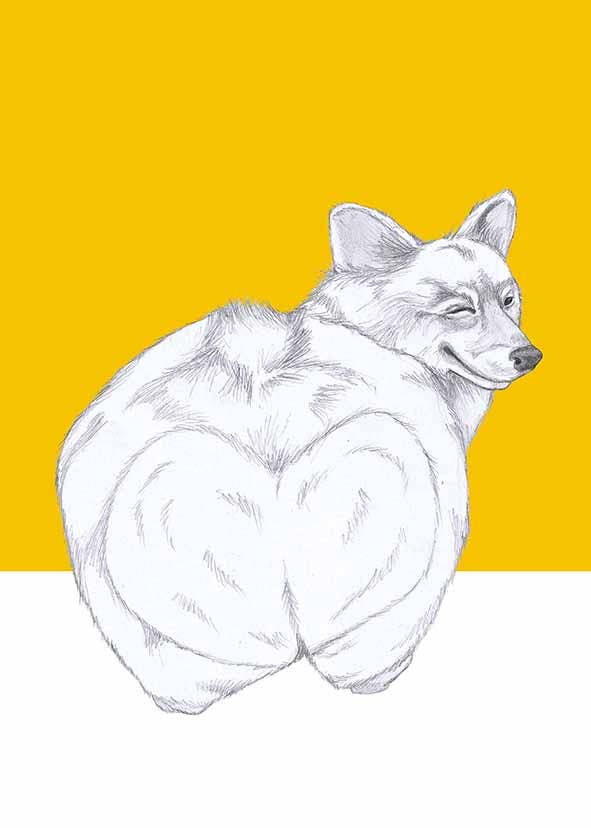 I AM NIEN – Engroshandel Hverdagshilsen kort – Corgi3