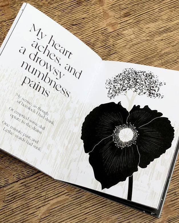 Obvious State - Wholesale Poetry & Drama - John Keats, Illustrated Book2